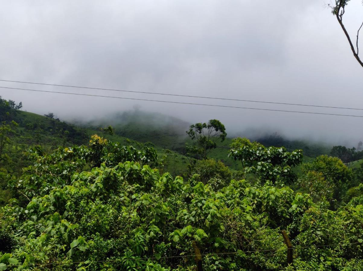 Winter Woods Leilighet Vagamon Rom bilde