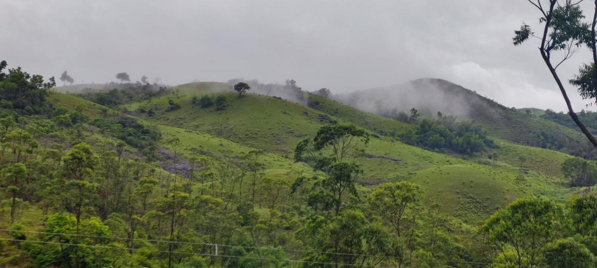 Winter Woods Leilighet Vagamon Rom bilde
