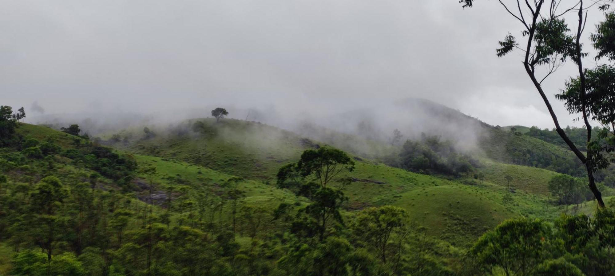 Winter Woods Leilighet Vagamon Rom bilde